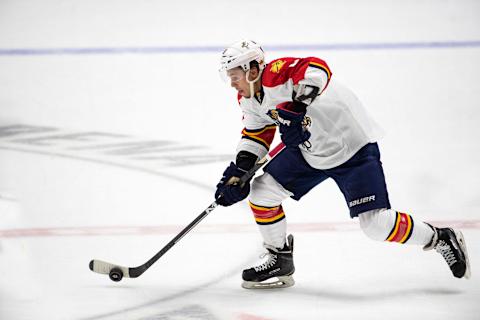 Jayce Hawryluk #8 (Photo by Ronald C. Modra/NHL/Getty Images)