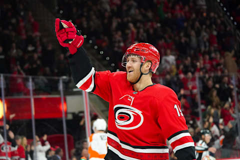 Carolina Hurricanes defenseman Dougie Hamilton (19): (James Guillory-USA TODAY Sports)