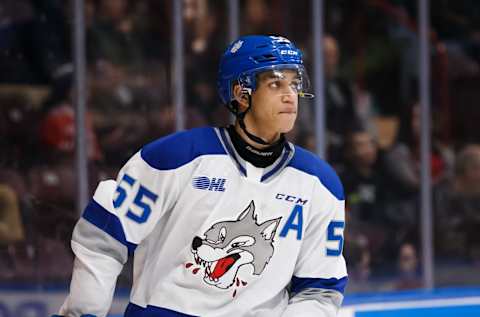 Sudbury Wolves, Quinton Byfield (Photo by Chris Tanouye/Getty Images)