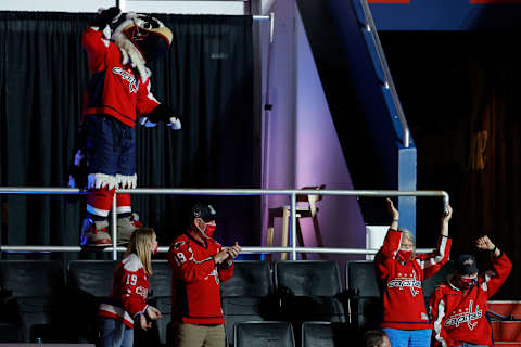 Washington Capitals Mandatory Credit: Geoff Burke-USA TODAY Sports