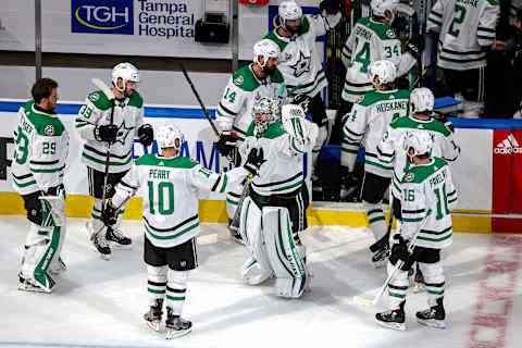 Dallas Stars (Photo by Bruce Bennett/Getty Images)