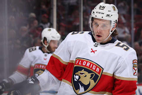 Erik Haula #56 of the Florida Panthers (Photo by Christian Petersen/Getty Images)