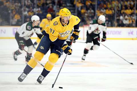 Michael McCarron #47 of the Nashville Predators . (Photo by Donald Page/Getty Images)