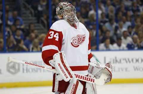 wApr 21, 2016; Tampa, FL, USA; Detroit Red Wings goalie Petr Mrazek (34) looks on against the Tampa Bay Lightning during the first period of game five of the first round of the 2016 Stanley Cup Playoffs at Amalie Arena. Mandatory Credit: Kim Klement-USA TODAY Sports