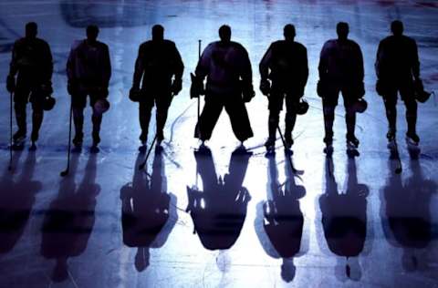 The Carolina Hurricanes (Photo by Andre Ringuette/Freestyle Photo/Getty Images)