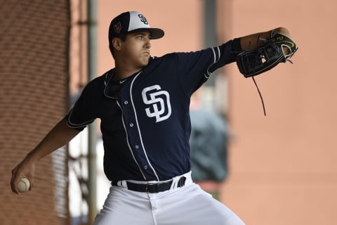 (Photo by Andy Hayt/San Diego Padres/Getty Images)