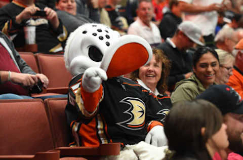 ANAHEIM, CA – OCTOBER 09: Anaheim Ducks mascot Wild Wing rallies the crowd during an NHL game between the Calgary Flames and the Anaheim Ducks on October 09, 2017 at Honda Center in Anaheim, CA. (Photo by Chris Williams/Icon Sportswire via Getty Images)