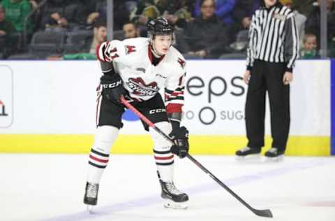 Daniil Chayka #11 of the Guelph Storm (Photo by Tom Szczerbowski/Getty Images)