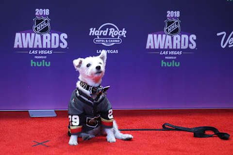 Photo by Bruce Bennett/Getty Images