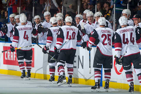 KELOWNA, BC – SEPTEMBER 29: Niklas Hjalmarsson #4 of the Arizona Coyotes celebrates a second period goal against the Vancouver Canucks at Prospera Place on September 29, 2018 in Kelowna, Canada. (Photo by Marissa Baecker/NHLI via Getty Images)