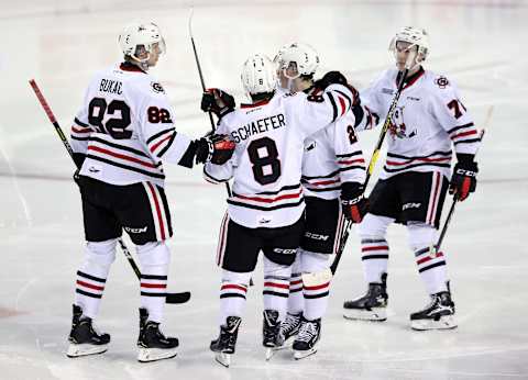 ST CATHARINES, ON – NOVEMBER 9: Philip Tomasino #26 of the Niagara IceDogs celebrates a goal with Daniel Bukac #82, Johnathon Schaefer #8 and Bradley Johnson #72 during the second period of an OHL game against the North Bay Battalion at Meridian Centre on November 9, 2018 in St Catharines, Canada. (Photo by Vaughn Ridley/Getty Images)