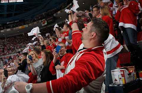 Detroit Red Wings (Photo by Gregory Shamus/Getty Images)