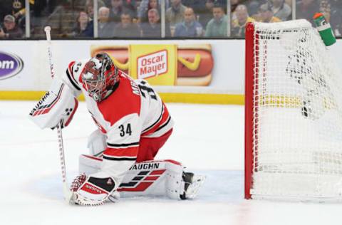 Petr Mrazek,  Carolina Hurricanes  (Photo by Bruce Bennett/Getty Images)