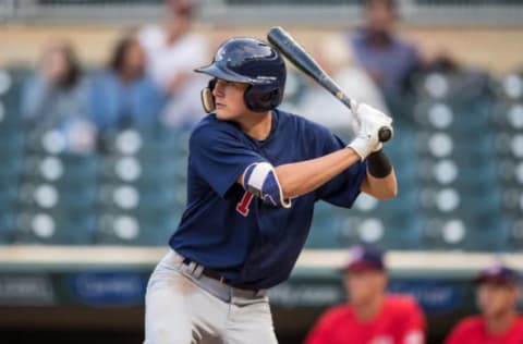 MINNEAPOLIS, MN- AUGUST 24: Brice Turang #1 of the USA Baseball 18U National Team bats during the national team trials on August 24, 2017 at Target Field in Minneapolis, Minnesota. (Photo by Brace Hemmelgarn/Getty Images)