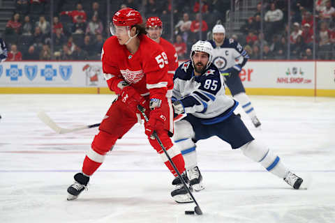 Red Wings vs. Jets (Photo by Gregory Shamus/Getty Images)