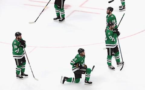 The Dallas Stars. (Photo by Bruce Bennett/Getty Images)