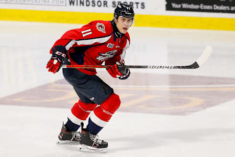 Forward Egor Afansyev #11 of the Windsor Spitfires  (Photo by Dennis Pajot/Getty Images)