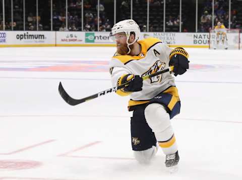 Nashville Predators (Photo by Bruce Bennett/Getty Images)