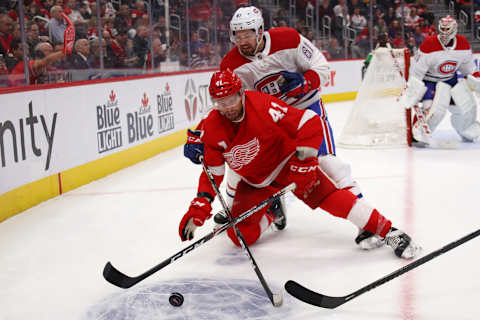 DETROIT, MICHIGAN – FEBRUARY 18: Luke Glendening (Photo by Gregory Shamus/Getty Images)