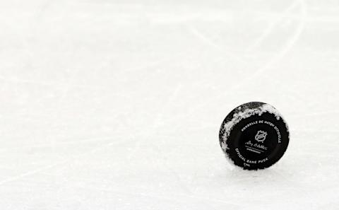 An official NHL game puck: (Charles LeClaire-USA TODAY Sports)