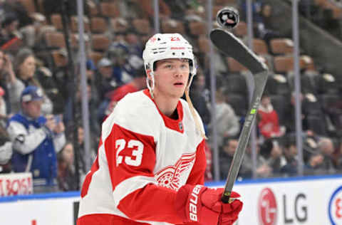 Lucas Raymond, Detroit Red Wings (Mandatory Credit: Dan Hamilton-USA TODAY Sports)