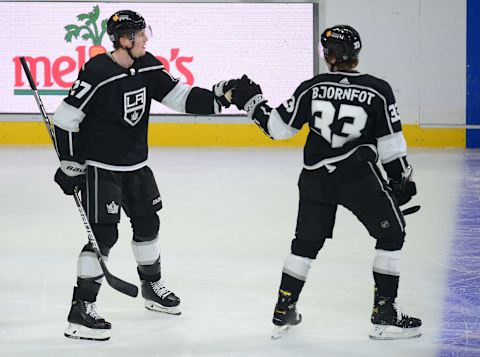 LA Kings (Mandatory Credit: Gary A. Vasquez-USA TODAY Sports)