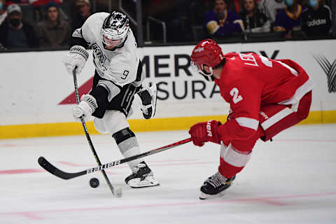 Nick Leddy (2)Mandatory Credit: Gary A. Vasquez-USA TODAY Sports