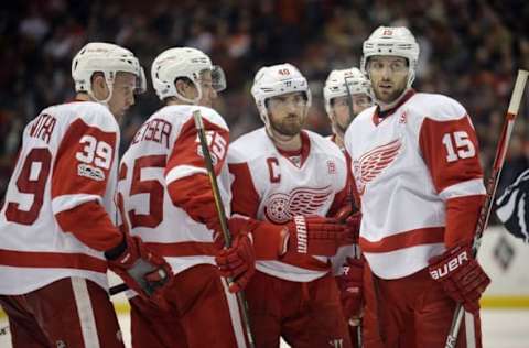 NHL Power Rankings: Detroit Red Wings right wing 