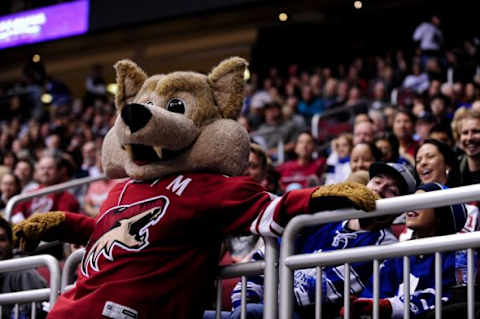 Nov 4, 2014; Glendale, AZ, USA; Arizona Coyotes mascot Howler blocks the view of Toronto Maple Leafs fans during the second period at Gila River Arena. Mandatory Credit: Matt Kartozian-USA TODAY Sports