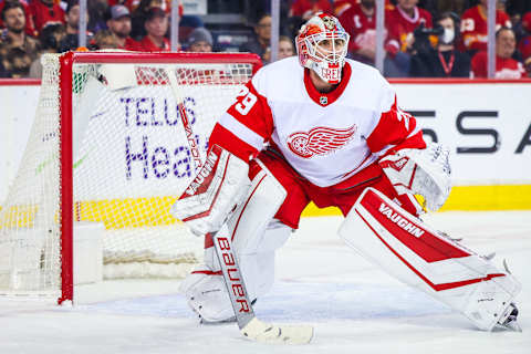 Red Wings goalie, Thomas Greiss. Mandatory Credit: Sergei Belski-USA TODAY Sports