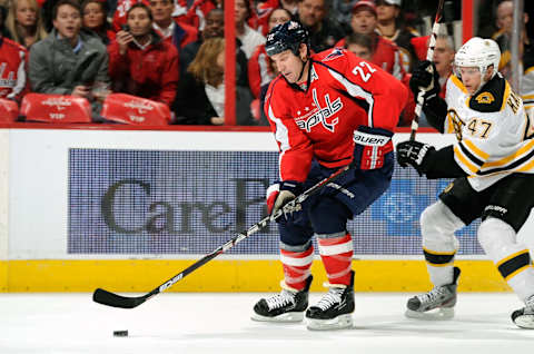 Mike Knuble, Washington Capitals (Photo by G Fiume/Getty Images)