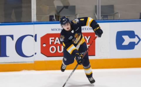 OSHAWA, ON – NOVEMBER 22: Jamie Drysdale #4 of the Erie Otters passes the puck during an OHL game against the Oshawa Generals at the Tribute Communities Centre on November 22, 2019 in Oshawa, Ontario, Canada. (Photo by Chris Tanouye/Getty Images)