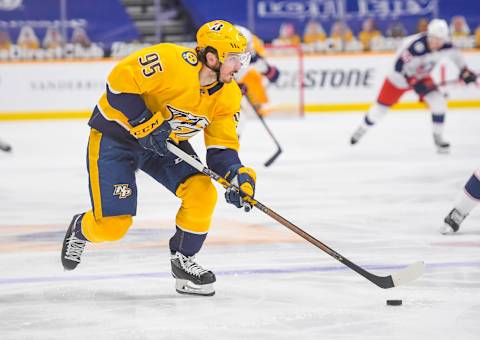 Nashville Predators center Matt Duchene (95) Mandatory Credit: Steve Roberts-USA TODAY Sports