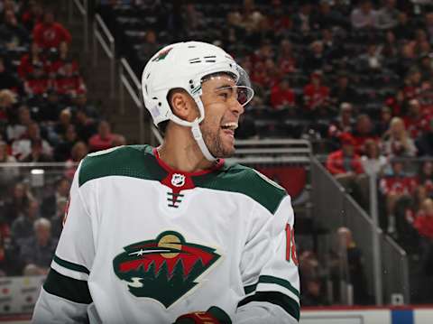 Jordan Greenway #18 of the Minnesota Wild (Photo by Bruce Bennett/Getty Images)