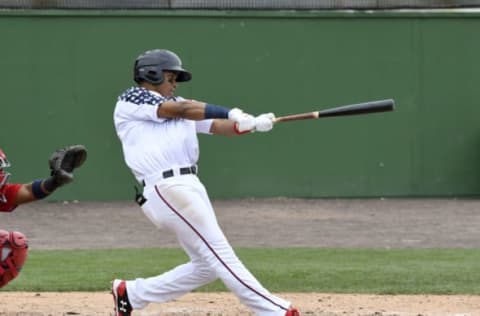 WOODBRIDGE, VA – MAY 6, 2018: Outfielder Juan Soto #25 of the Potomac Nationals, single-A affiliate of the Washington Nationals, hits a solo homerun during the bottom of the third inning of a Carolina League game on May 6, 2018 against the Salem Red Sox, single-A affiliate of the Boston Red Sox, at Northwest Federal Field at Pfitzner Stadium in Woodbridge, VA.(Photo by: Diamond Images/Getty Images)