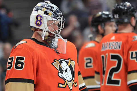 John Gibson #36 of the Anaheim Ducks. (Photo by Sean M. Haffey/Getty Images)