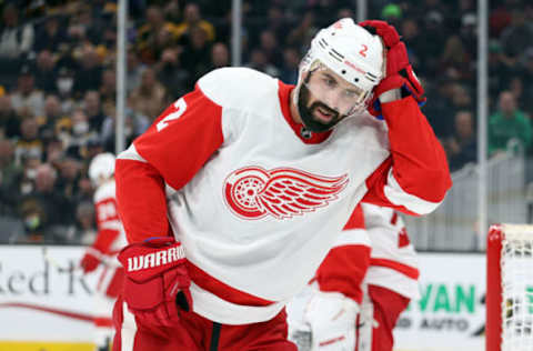 Nick Leddy #2, Detroit Red Wings (Photo by Maddie Meyer/Getty Images)