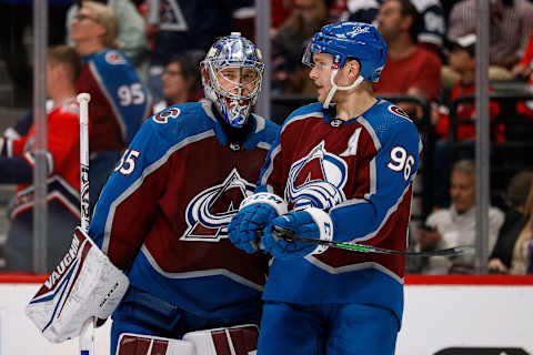 Colorado Avalanche goaltender Darcy Kuemper (35): Isaiah J. Downing-USA TODAY Sports