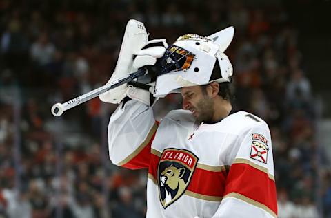 Roberto Luongo #1, Florida Panthers (Photo by Victor Decolongon/Getty Images)