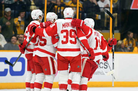 Vegas Golden Knights: Detroit Red Wings players celebrate after a goal by defenseman Mike Green (25) during the first period against the Nashville Predators at Bridgestone Arena. Mandatory Credit: Christopher Hanewinckel-USA TODAY Sports