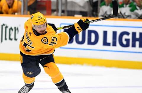 Nashville Predators (Photo Credit: Christopher Hanewinckel-USA TODAY Sports)