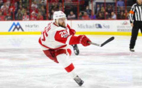 Detroit Red Wings defensemen Mike Green (25) takes a shot (James Guillory-USA TODAY Sports)