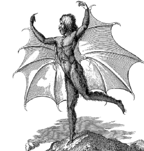 Portrait of a man-bat from an edition of the Moon series published in Naples.