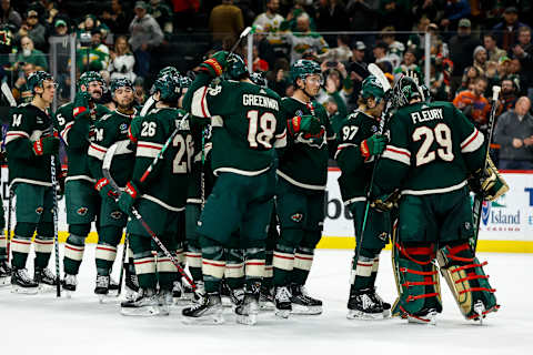 Minnesota Wild. (Photo by David Berding/Getty Images)