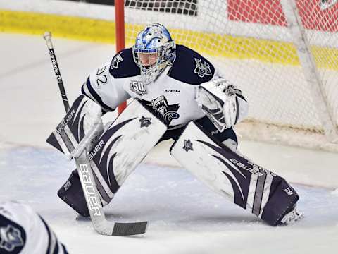 BOISBRIAND, QC – NOVEMBER 23: Goaltender Colten Ellis (Photo by Minas Panagiotakis/Getty Images)