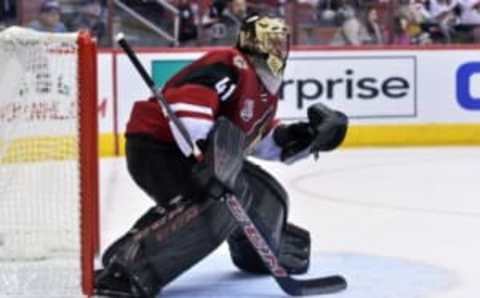 NHL Fantasy: Arizona Coyotes goalie Mike Smith (41) defends during the third period against the Los Angeles Kings at Gila River Arena. Mandatory Credit: Matt Kartozian-USA TODAY Sports