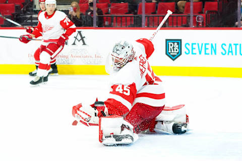 Detroit Red Wings goaltender Jonathan Bernier (45): (James Guillory-USA TODAY Sports)