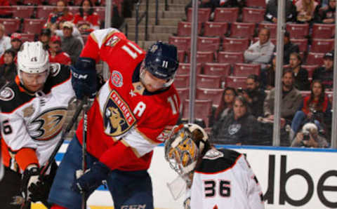 SUNRISE, FL – NOVEMBER 28: Goaltender John Gibson #36 of the Anaheim Ducks defends the net against Jonathan Huberdeau #11 of the Florida Panthers at the BB&T Center on November 28, 2018 in Sunrise, Florida. (Photo by Eliot J. Schechter/NHLI via Getty Images)