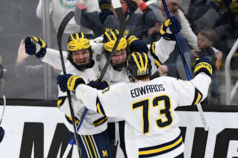 Michigan Wolverines defenseman Ethan Edwards (73): Brian Fluharty-USA TODAY Sports