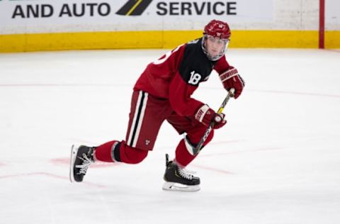 BOSTON, MA – FEBRUARY 4: Adam Fox #18 of the Harvard Crimson skates against the Boston College Eagles during NCAA hockey in the semifinals of the annual Beanpot Hockey Tournament at TD Garden on February 4, 2019 in Boston, Massachusetts. (Photo by Richard T Gagnon/Getty Images)